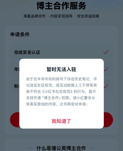 小红书超级用户权限究竟是什么?普通用户如何才能获得这些特权?