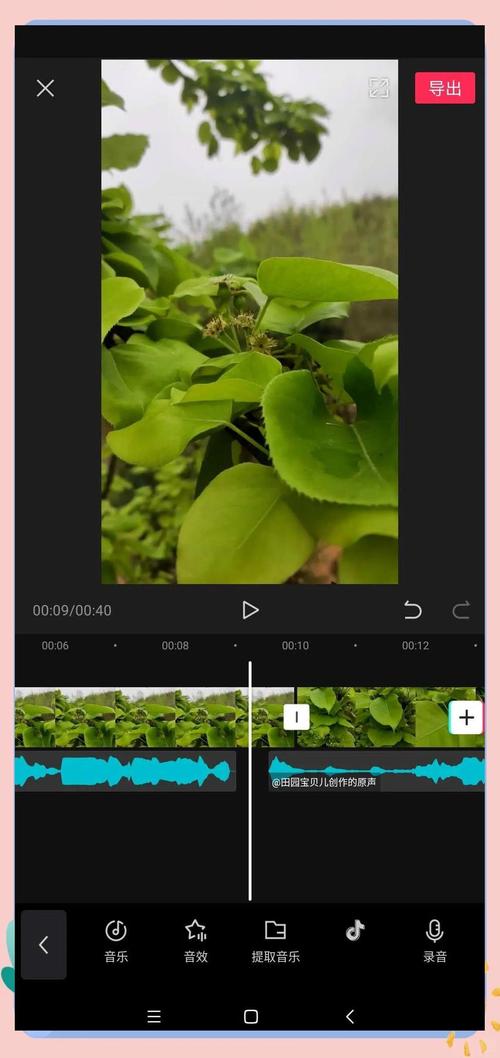 抖音 视频 配乐