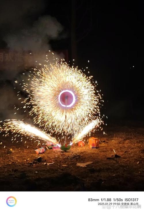 快手上甩的烟花叫什么