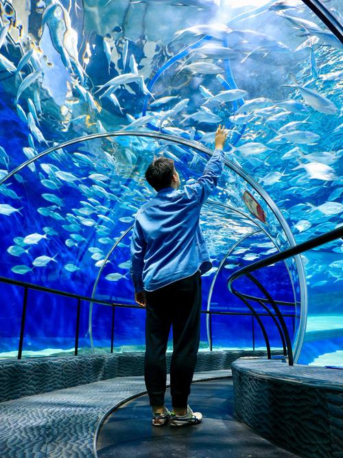 抖音爆火的上海海底究竟藏着什么秘密?是奇幻秘境还是城市暗角?