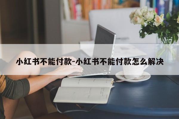 小红书不能付款-小红书不能付款怎么解决